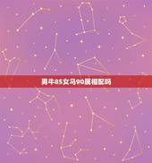 男牛85女马90属相配吗，男85年牛和女90年马合不合