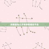 妈老鼠和儿子羊的属相合不合，属鼠和属羊合不合