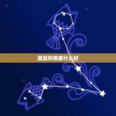 属鼠的佩戴什么好，属鼠的佩戴什么升运