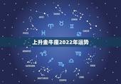 上升金牛座2022年运势，2022金牛座运势如何