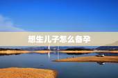 想生儿子怎么备孕，生儿子最准的