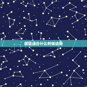属鼠适合什么时候结婚，属鼠女2022 年几月结婚好
