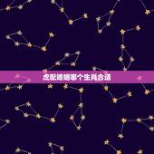 虎配婚姻哪个生肖合适，虎配虎婚姻好不好