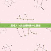 属鸡人12月结婚忌讳什么属相，属鸡最忌讳什么属相？