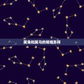 属兔和属马的婚姻怎样，鼠兔和属马的婚姻如何