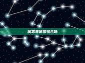 属龙与属猪相合吗，属猪的和属龙的结婚合适吗？