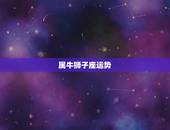属牛狮子座运势，09年属牛狮子座运程如何？