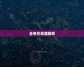 壬申月命理解析，己巳年壬申月丁巳日