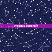 苏珊大妈星座运势2023，星座运势2021年运程