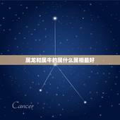 属龙和属牛的属什么属相最好，属龙的和属牛的结婚好吗？