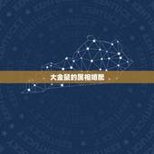 大金鼠的属相婚配，属老鼠和什么属相相配？
