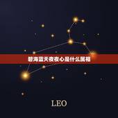 碧海蓝天夜夜心是什么属相，嫦娥应悔偷灵药 碧海青天夜夜心打一生肖