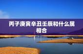 丙子庚寅辛丑壬辰和什么属相合，高分合八字算婚姻！不会采纳电脑算的~谢谢