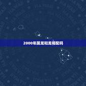2000年属龙和龙相配吗，2000年生的男孩姻缘