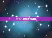 二十八星宿吉凶详解，“星宿之吉凶”是什么意思？