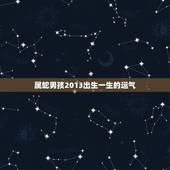 属蛇男孩2013出生一生的运气，属蛇人男孩2013年农历二月十二晚上九