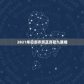 2021年日历农历正月初九属相，2021什么属相犯太岁表
