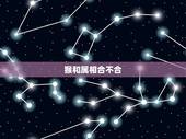 猴和属相合不合，属猴和属猴的合不合