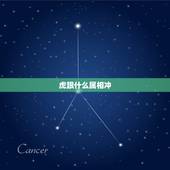 虎跟什么属相冲，虎和什么属相犯冲