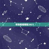 年份属相婚配2021，2021年生肖是什么年？
