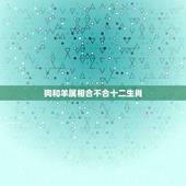 狗和羊属相合不合十二生肖，属相是狗的不能和什么属相的在一起