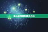 龙马属相婚配能长久吗，牛和什么兄弟姐妹属相最配
