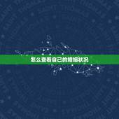 怎么查看自己的婚姻状况，输入身份证号码能查到自己的婚姻状况吗？