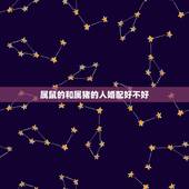 属鼠的和属猪的人婚配好不好，属猪与属鼠相配吗？