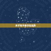 关于双子座今日运势 &amp;#8211; 的信息