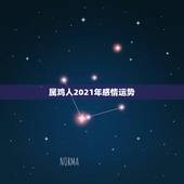 属鸡人2021年感情运势，属鸡2021年运势