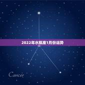 2022年水瓶座1月份运势，苏珊米勒2018年1月水瓶座运势