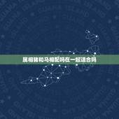 属相猪和马相配吗在一起适合吗，属马的跟属猪的相配吗，适合结婚做夫妻吗？