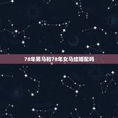 78年男马和78年女马结婚配吗，1978年的马男和1990年女马今年结