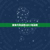 属兔今年运势2021年运势，2021年属兔的运势和财运