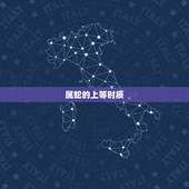 属蛇的上等时辰，属蛇巳时午时生