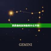 鹦鹉鱼和发财鱼有什么不同，金刚鹦鹉和红财神鱼有什么区别附图解法图