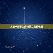 从第一胎怎么得知第二胎的性别，怎么知道下一胎生男还是生女