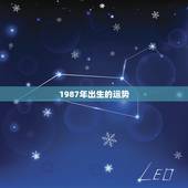 1987年出生的运势，1987年出生的摩蝎座今年运势如何