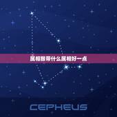 属相猴带什么属相好一点，属猴适合带什么饰品