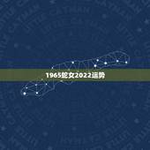 1965蛇女2022运势，1966年的马男1965年的蛇女在2021年