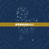 属羊感情运势2022，生肖羊2023年运势大全