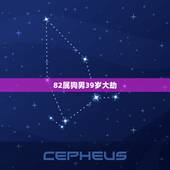 82属狗男39岁大劫，82年属狗今天的运气