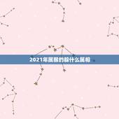 2021年属猴的躲什么属相，属马的和什么属相最相配 12属相婚配表