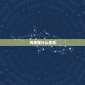 丙寅属什么生肖，牛马属相合不合