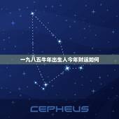 一九八五牛年出生人今年财运如何 属牛人今年偏财运几月