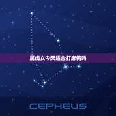 属虎女今天适合打麻将吗，86年属虎今天打麻将的手气