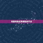 克服鸡兔生肖婚配的不合，生肖配对男鸡和女兔怎么破解
