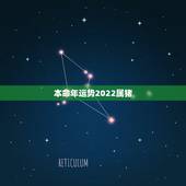 本命年运势2022属猪，请大师给我本命年运势测算