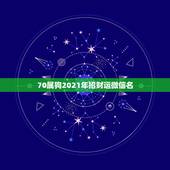 70属狗2021年招财运微信名，属蛇的微信头像和微信名用什么吉利7