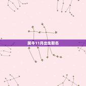 属牛11月出生取名，11月男牛宝宝名字